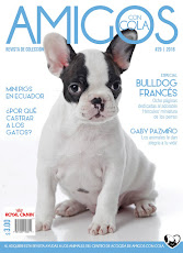 REVISTA AMIGOS CON COLA EDICIÓN 29