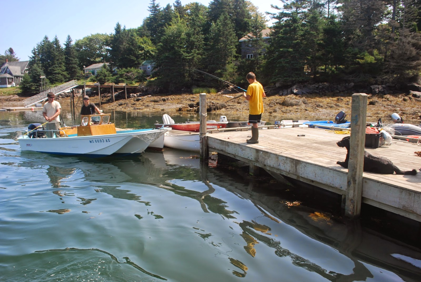 Litton's Fishing Lines Isle au Haut, Acadia National Park, Freedom