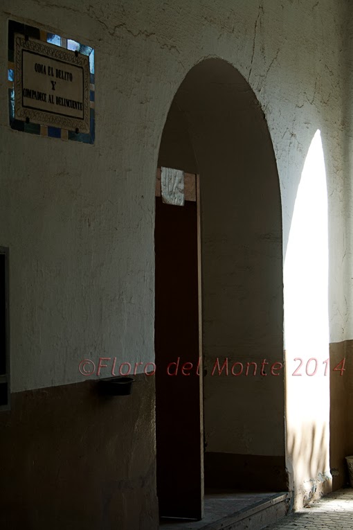 FlorodelMonte La Cárcel de la Ranilla. Sevilla 1