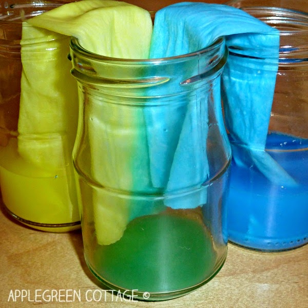 http://applegreencottage.blogspot.com/2015/01/walking-water-experiment-with-colors.html