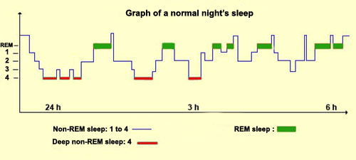 an introduction to the analysis of rapid eye movement rem sleep an introduction to the analysis of rapid eye movement rem sleep