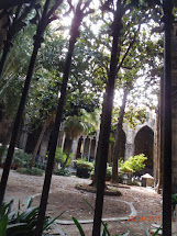 Barcelonan katedralin puutarhaa