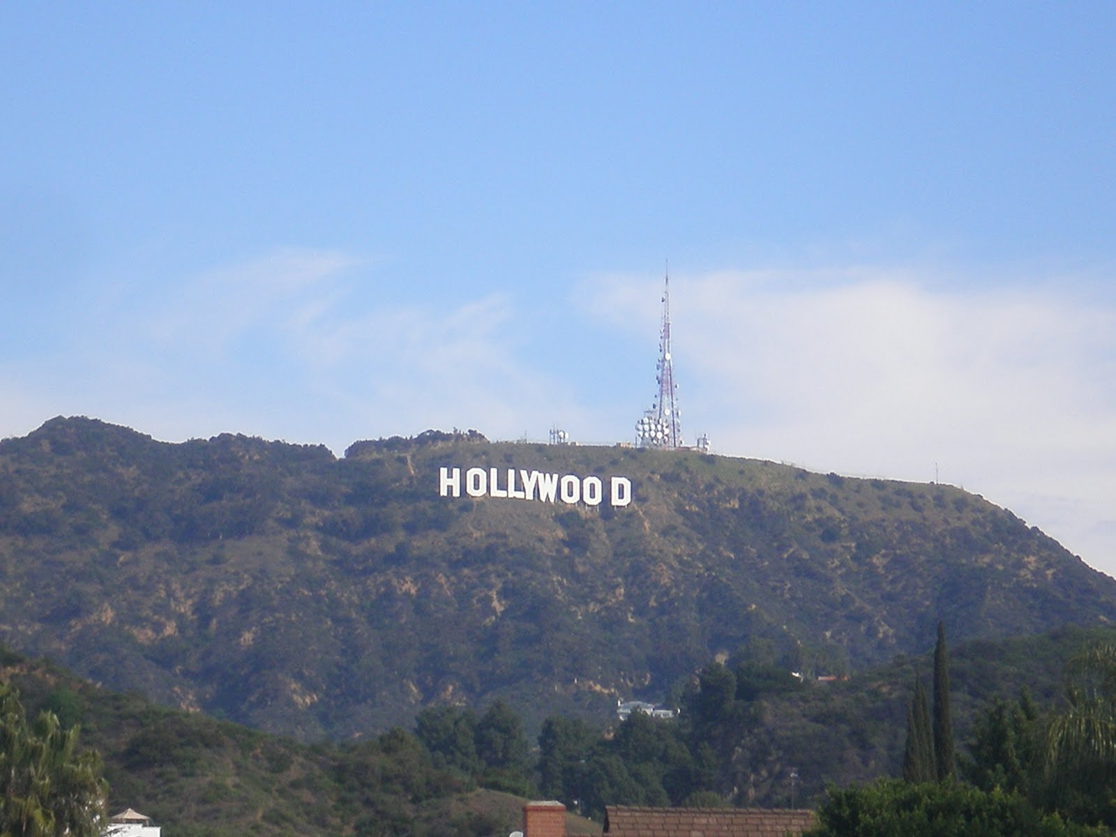 La Icon