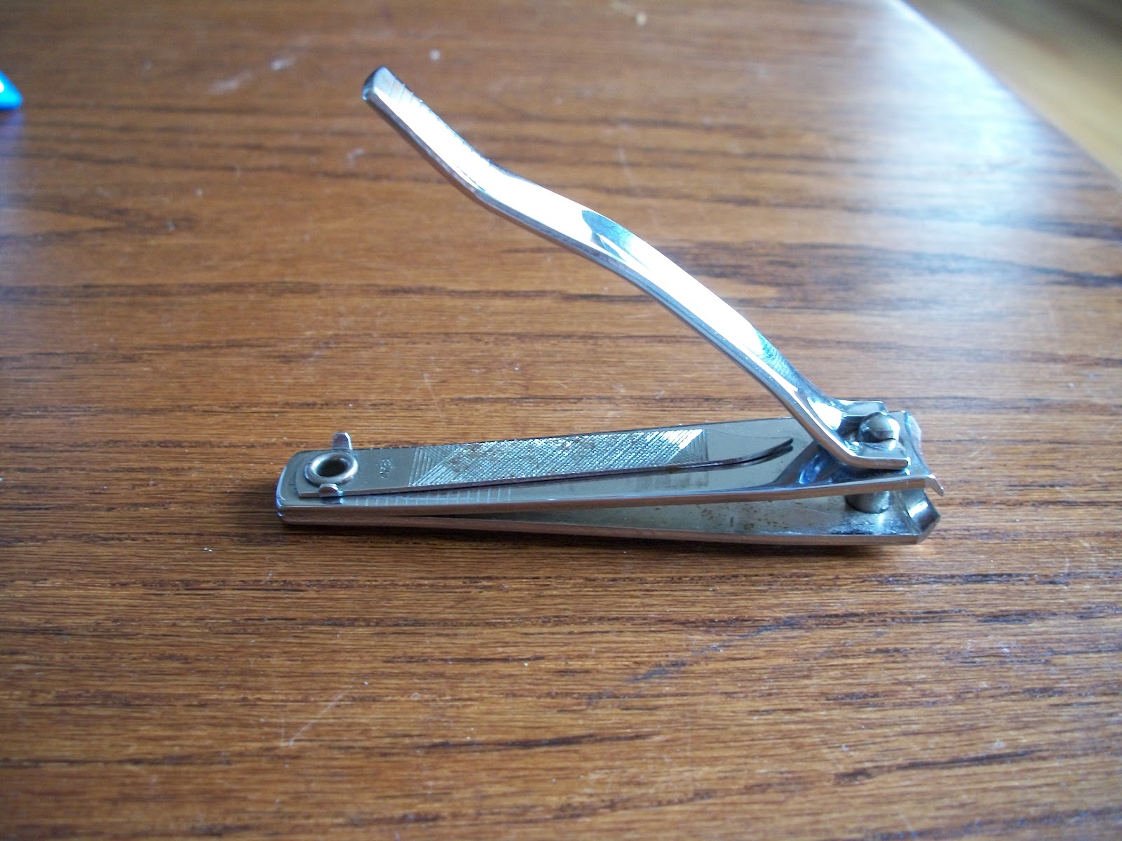 The Hare Raiser Spa Day Cutting Your Rabbit's Nails