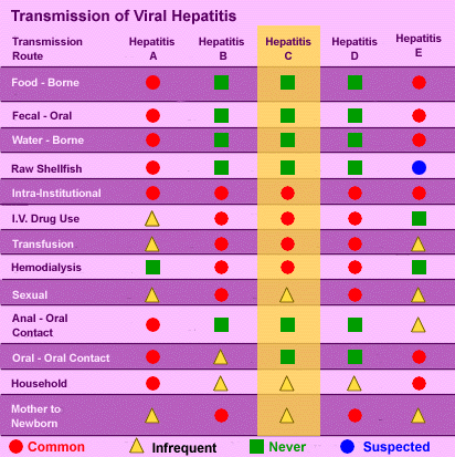 Hepatitis Transmission Chart