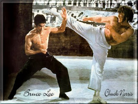 BRUCE LEE VS. CHUCK NORRIS