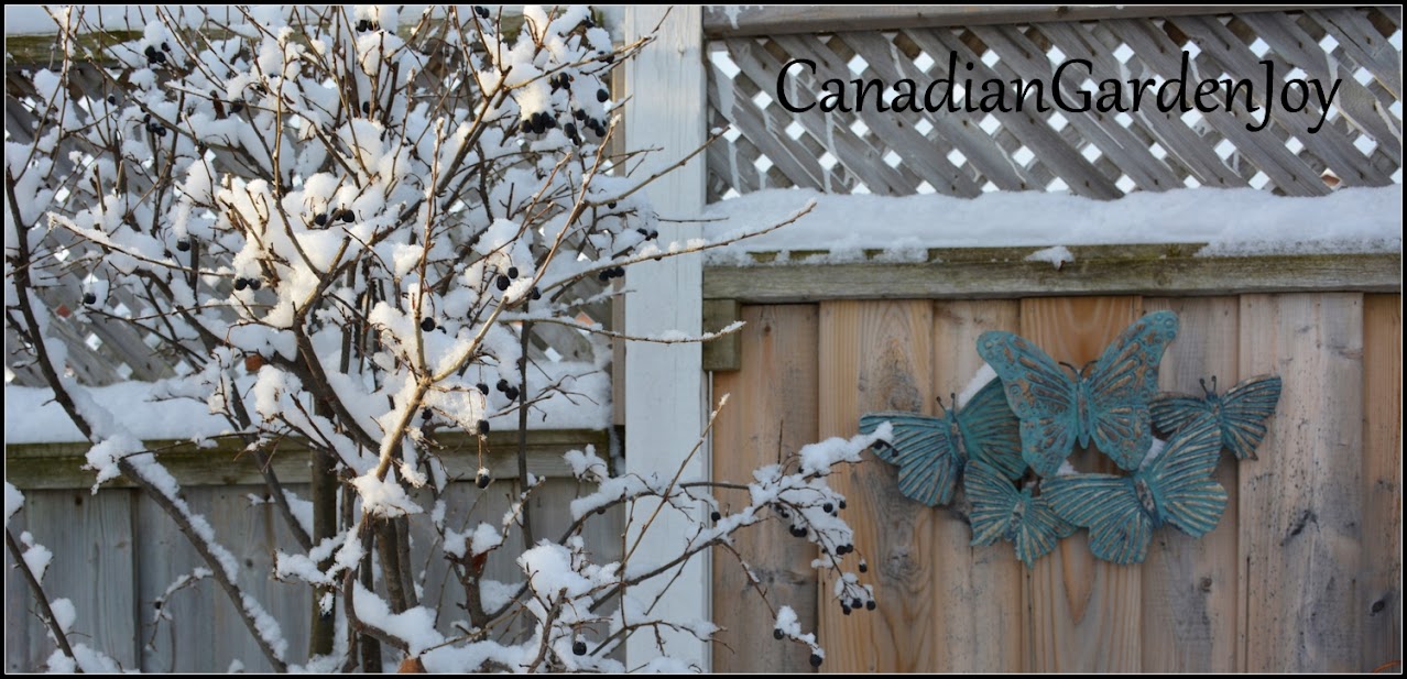 CanadianGardenJoy Mail Order ? Love them ? Hate them ? Favorites