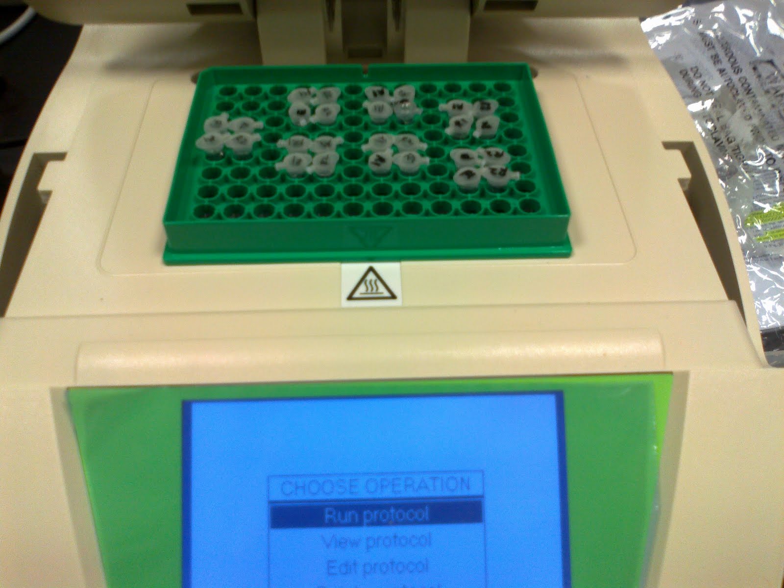 SHERYNA Molecular work Diluting primers & PCR amplification