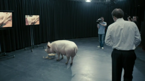 Black Mirror Pig Scene | twistedwing one to watch black mirror dvd Black Mirror Pig Scene | twistedwing one to watch black mirror dvd