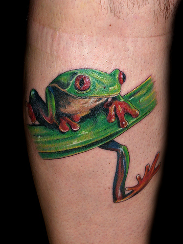 tattoos spot tree frog tattoos tattoos spot tree frog tattoos