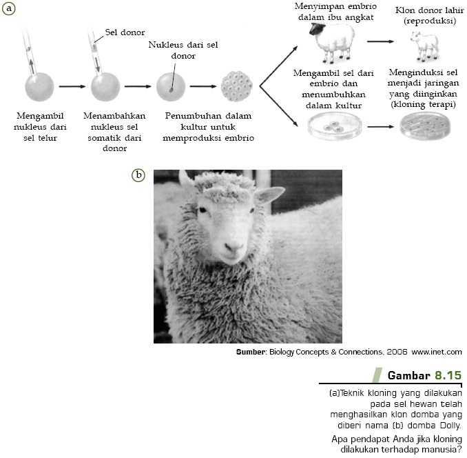 Belajar Serbaneka Bioteknologi