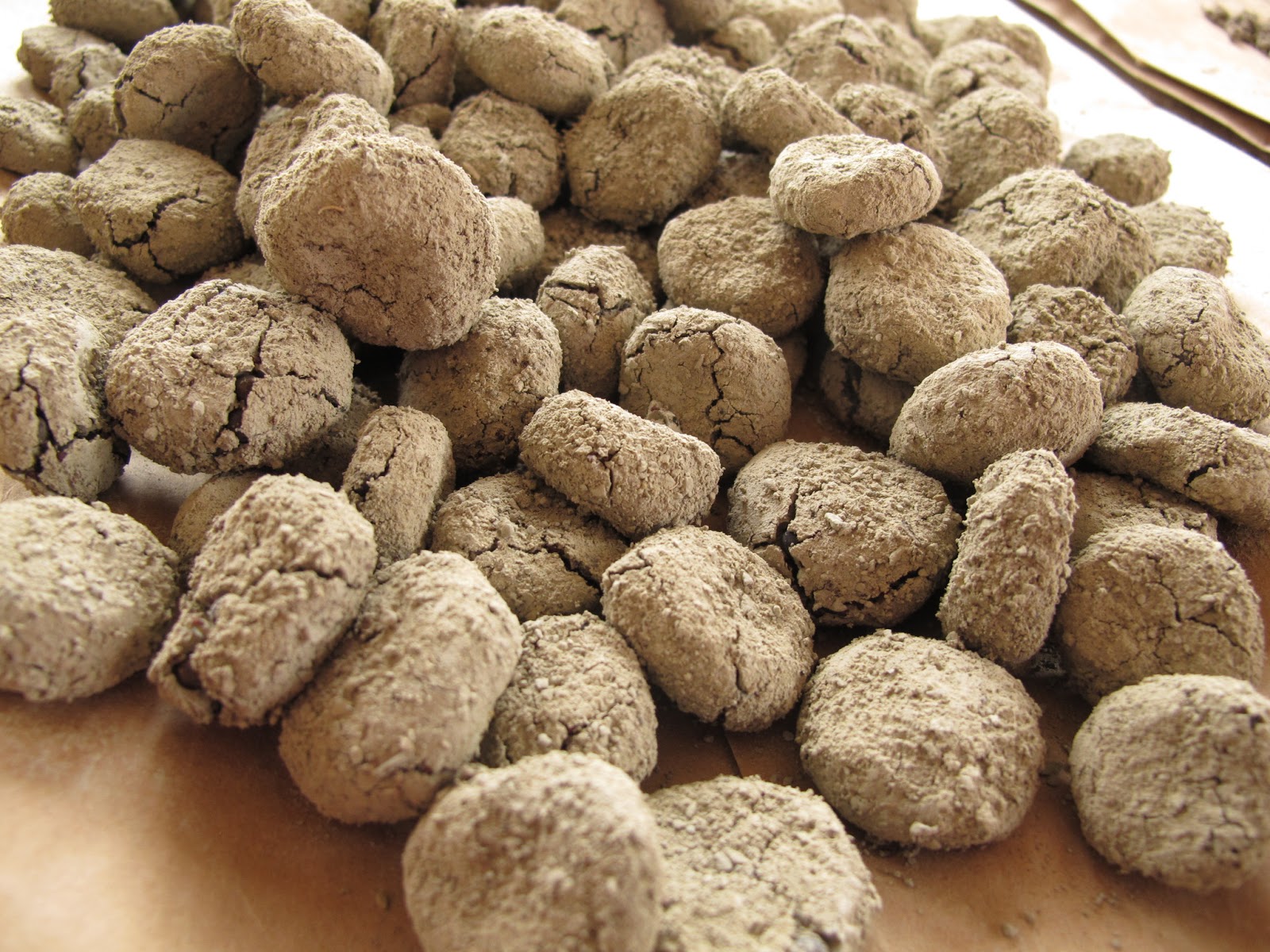 Joe's Garden Journal Making Seed Balls