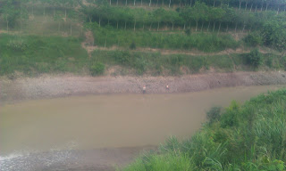 Размещенное изображение