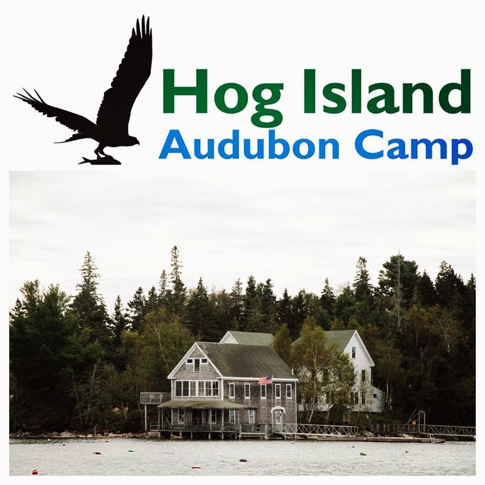 Hog Island Audubon Camp