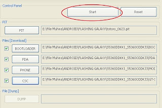 Flashing Firmware Samsung Galaxy Y GT-S5360