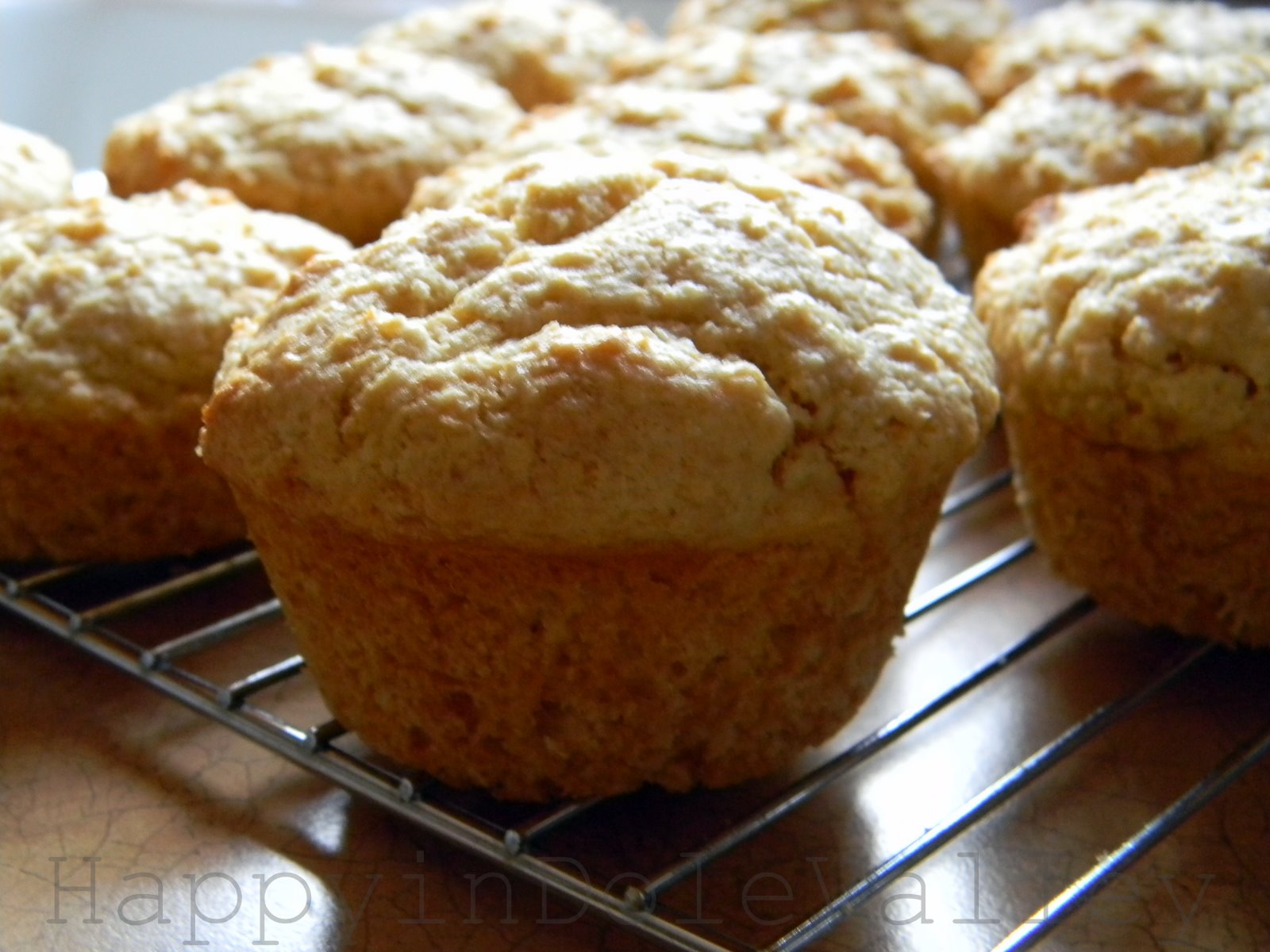 Happy in Dole Valley Simple Buttermilk Muffins {Muffin Monday}