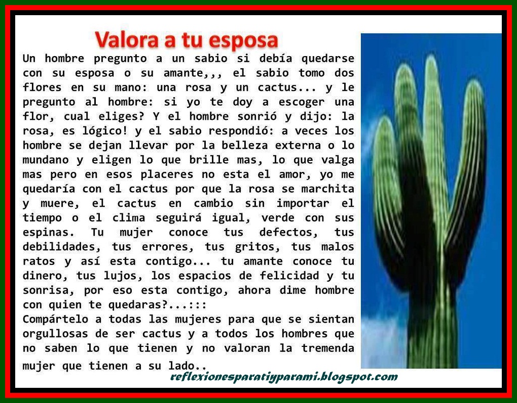 EL RINCON DE ENERI (3) - Página 38 Cactus+o+rosa