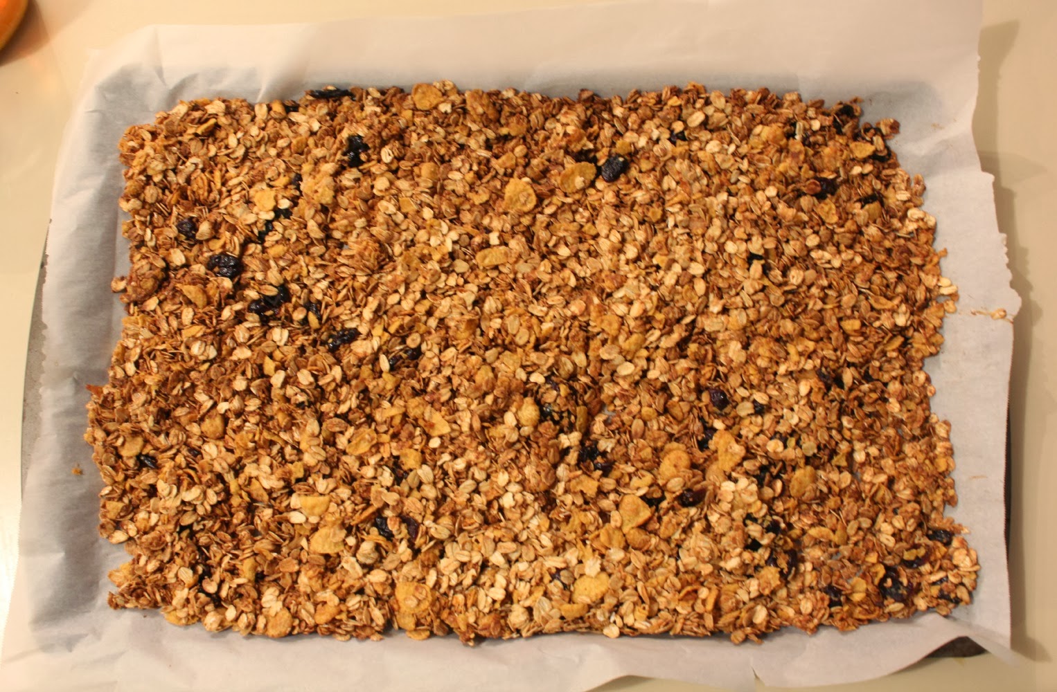 Total Basset Case: The Best Homemade Granola