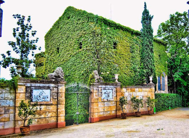 BUSCANDO TU MIRADA: LA CASA VERDE