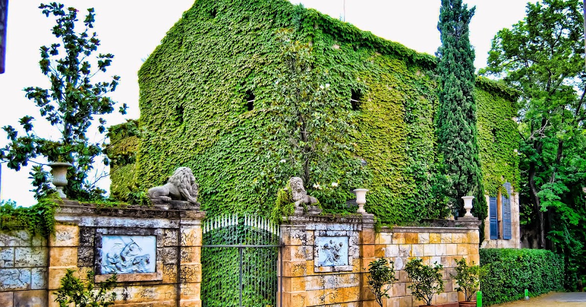 BUSCANDO TU MIRADA: LA CASA VERDE