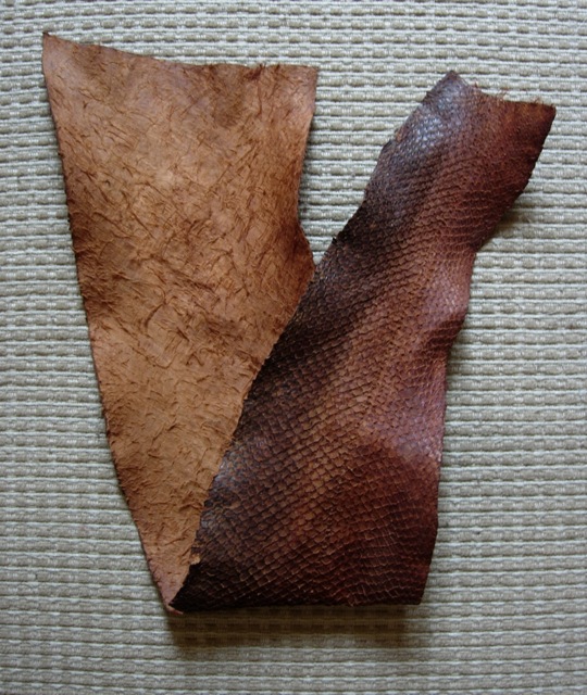 Sustainable Living Project Bark tanning salmon skins