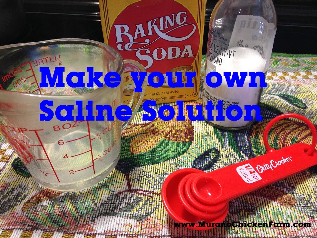 Murano Chicken Farm Make your own saline wound wash