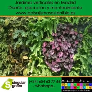 Jardines verticales en Madrid