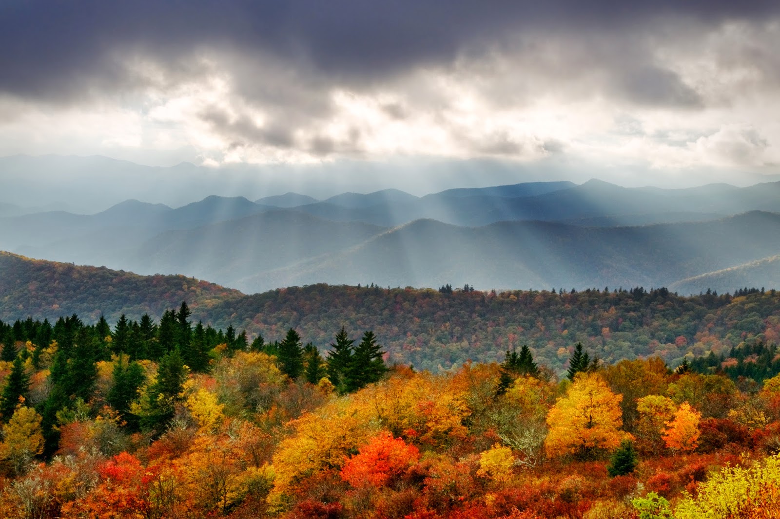 5 Things You Need to Know About Fall in Asheville Asheville Travel Blog