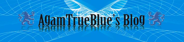 Agam TrueBlue Personal Blog