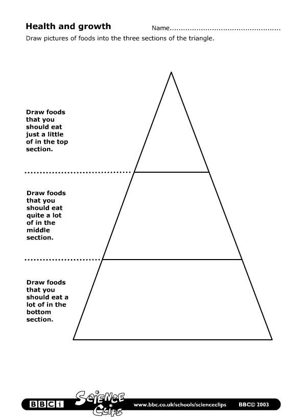 SCIENCE YEAR 2: Worksheets