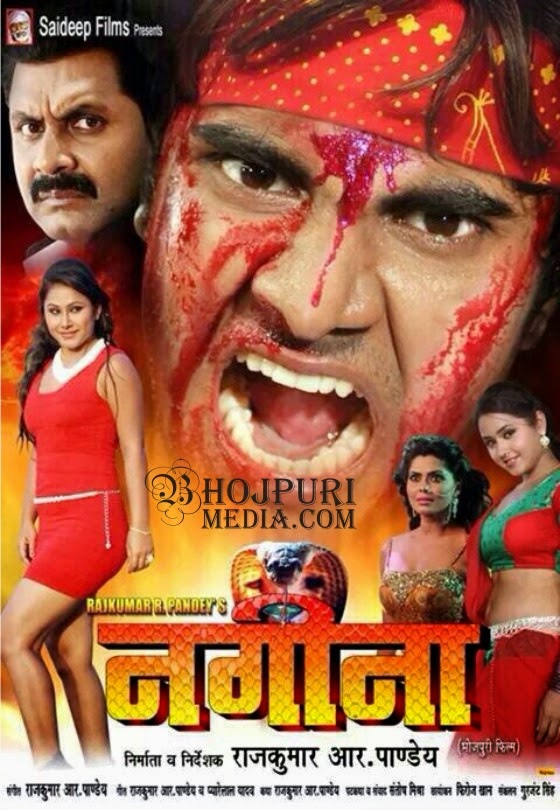 Nagina (2014): Bhojpuri Movie Release Date, Songs, Trailer Video, Poster, Star cast Pradeep R Pandey, Rinku Ghosh