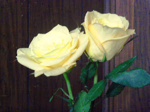 Yellow Rose of Texas