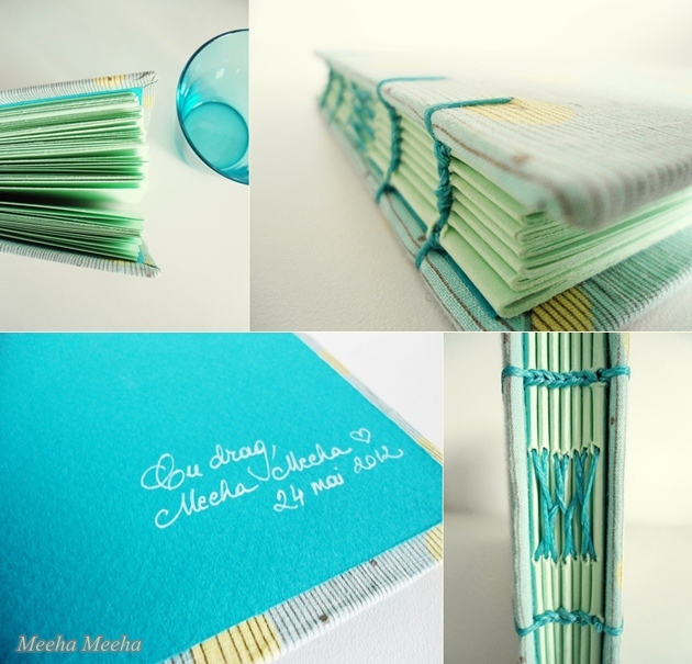 Rhodia Bullet Journaling Post 5 Tracking Medical Conditions In
