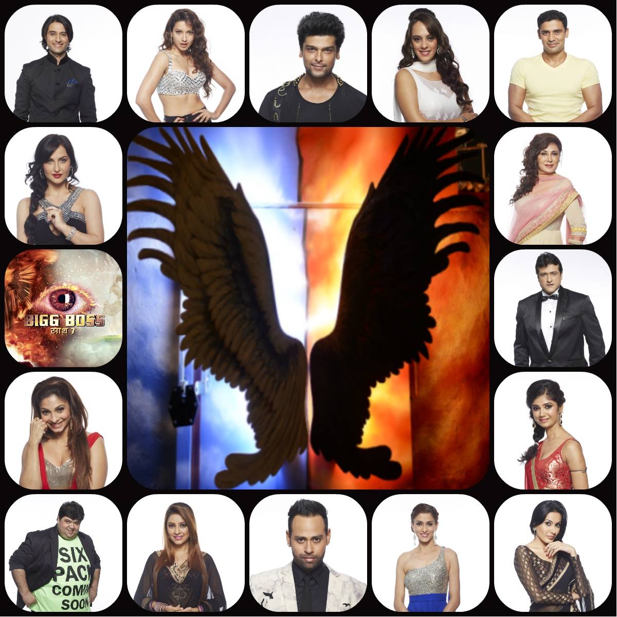 Bigg Boss Season 7 - Hindi Shows