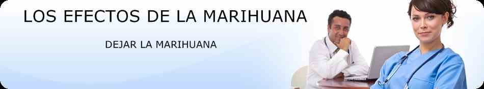 Los Efecto De La Marihuana