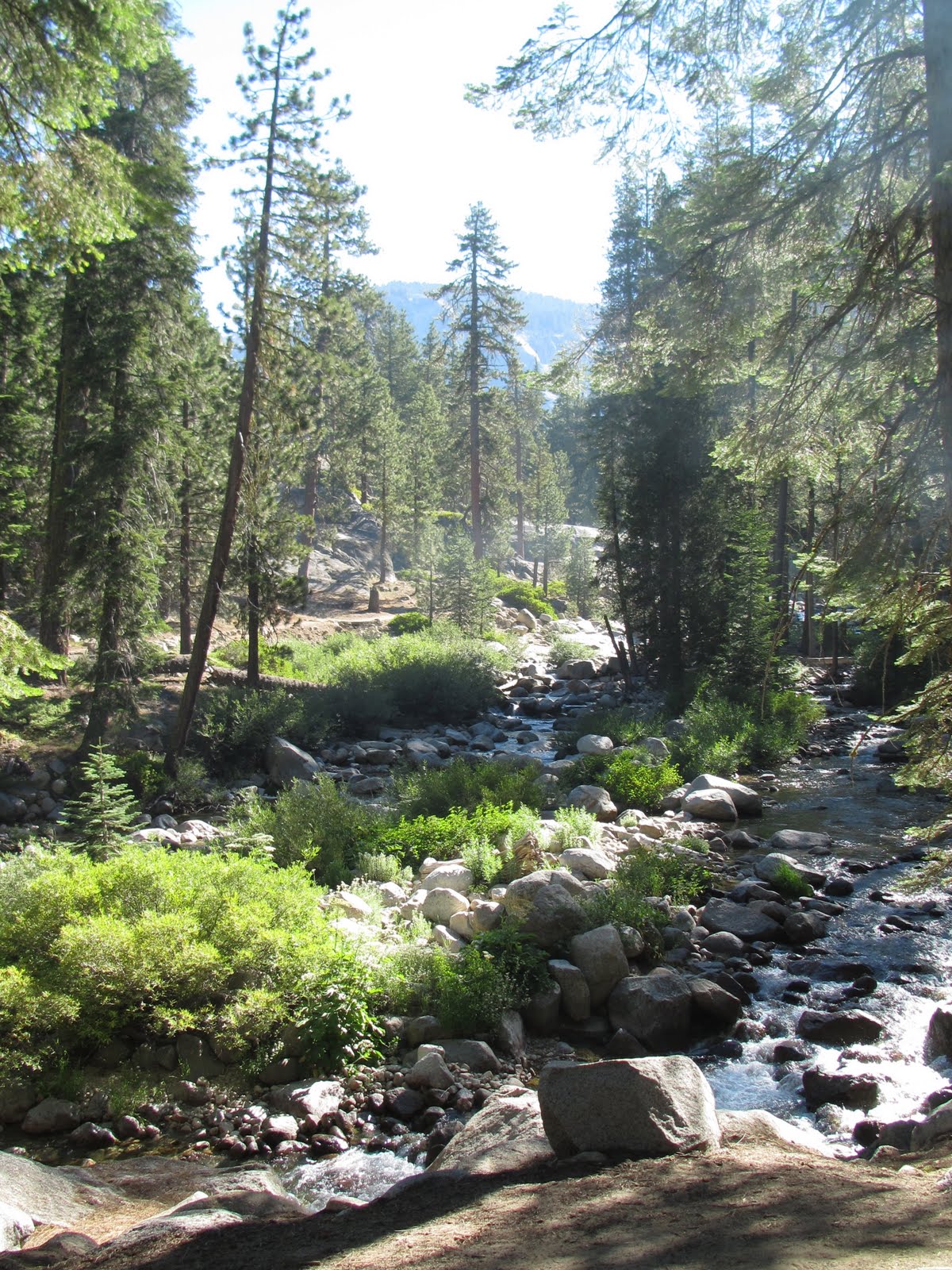 looboos Camping at Lodgepole in the Sequoia National Park