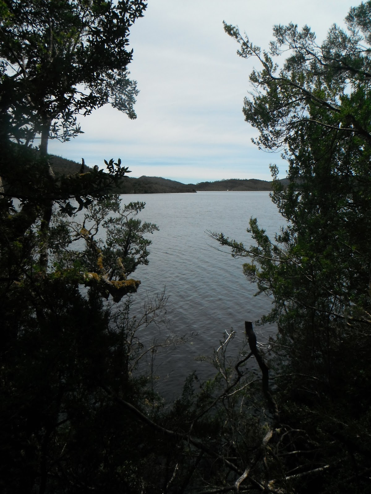 Cradle+Mtn+019.JPG