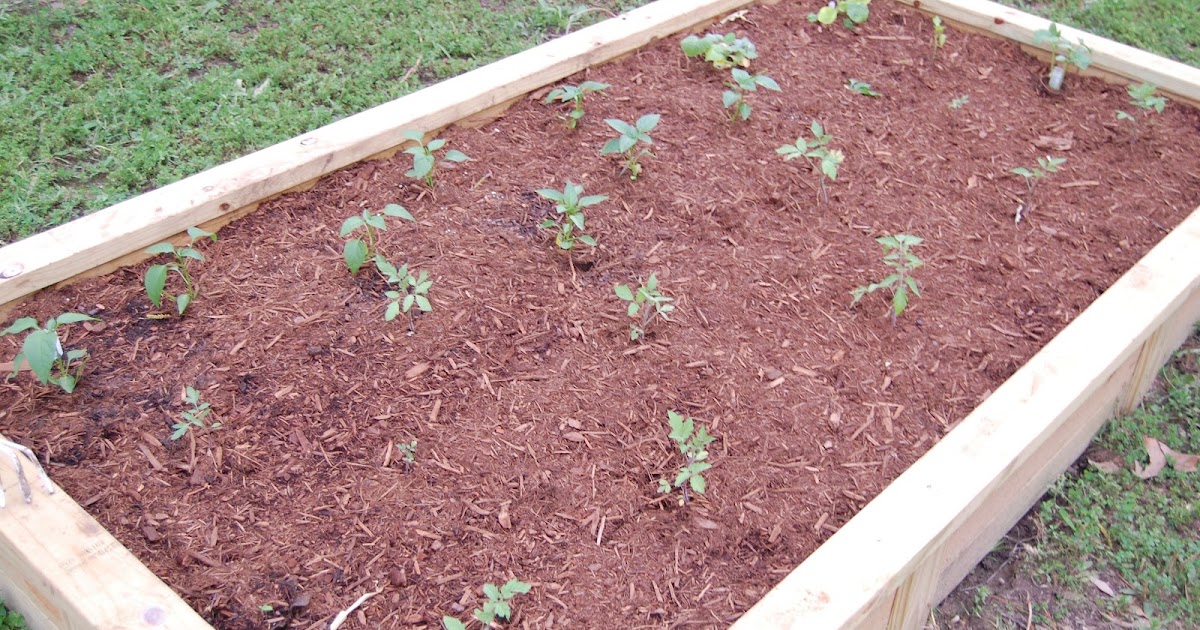 The Conservatory Simple Soil Recipe for Raised Beds