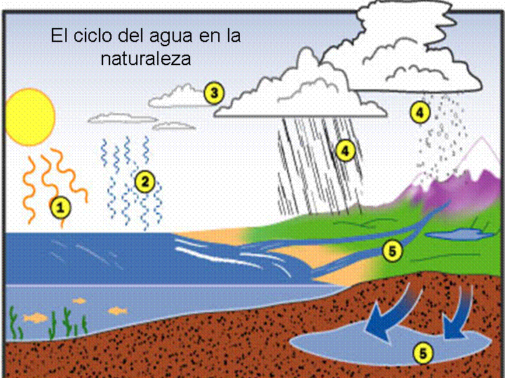 Imagenes del ciclo del agua