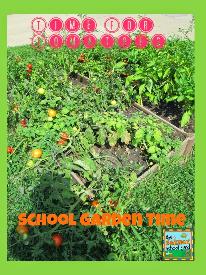 My Homework is Getting Done! The Science School Yard