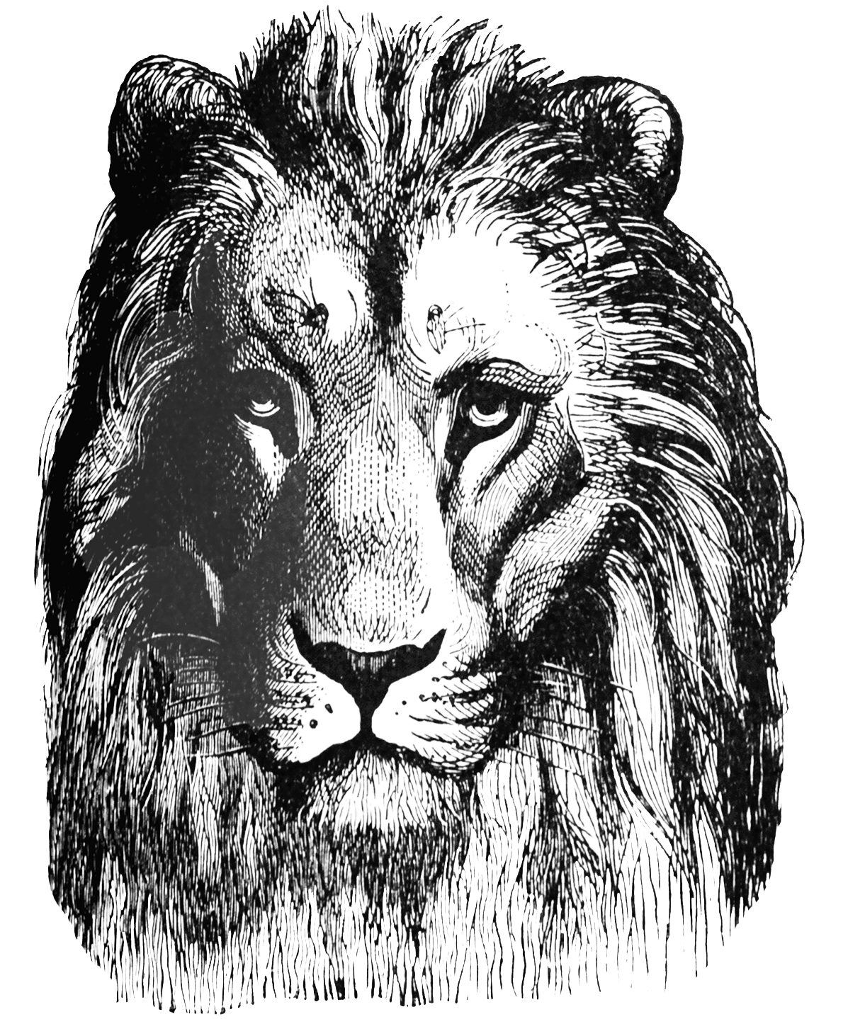 **FREE ViNTaGE DiGiTaL STaMPS** Free Digital Stamp Printable Lion Head