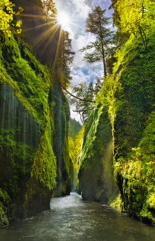  Lost Canyon, Oneonta Gorge, Oregon