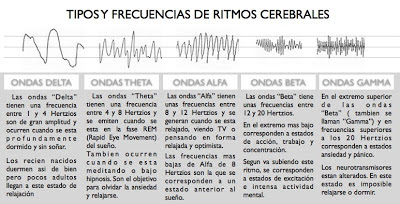 Las Ondas Cerebrales dan origen a los diferentes Estados De Conciencia, los que tienen  INFLUENCIA Psico-LÓGICA  y Fisio-LOGICA en todos los individuos. Nuestro cerebro vibra como todo en este Universo generando impulsos eléctricos. Las ondas cerebrales, o sea, el pulso del cerebro al igual que las ondas del sonido se mide en ciclos por segundo o Hertz. La máquina utilizada para hacer la medida de los pulsos eléctricos cerebrales se denomina Electro Encéfalo Grafo (EEG) y es la que se utilizada para medir y para clasificar la actividad cerebral, o sea los diferentes ciclos o estados de conciencia por los que pasa el individuo. Las neuronas para transmitir la información de una a otra, lo hacen de forma electro química  mediante impulsos eléctricos. Estos impulsos se han podido detectar y medir mediante “electroencefalógrafos”, para determinar la actividad que tenemos en nuestro cerebro. Esta actividad se refleja en gráficos en forma de ondas de mayor o menor longitud dependiendo del estado (Despierto y total-Mente alerta: BETA-. / Despierto y relajado: ALFA-. / Semi-inconsciente antes de quedarse dormido e inmediatamente después de despertar: Theta-. / Y estado de sueño profundo sin soñar: Delta-).