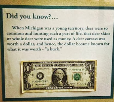 Fun Fact...