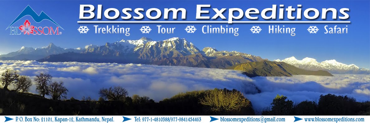 Blossom Expeditions