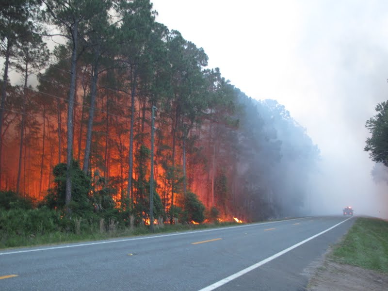 Levy County Sheriff's Star June 2011