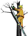 OUISER WISDOM: FIREMAN TO THE RESCUE!