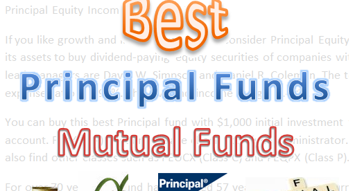 best principal mutual funds 2013 mepb financial ppsax fact sheet