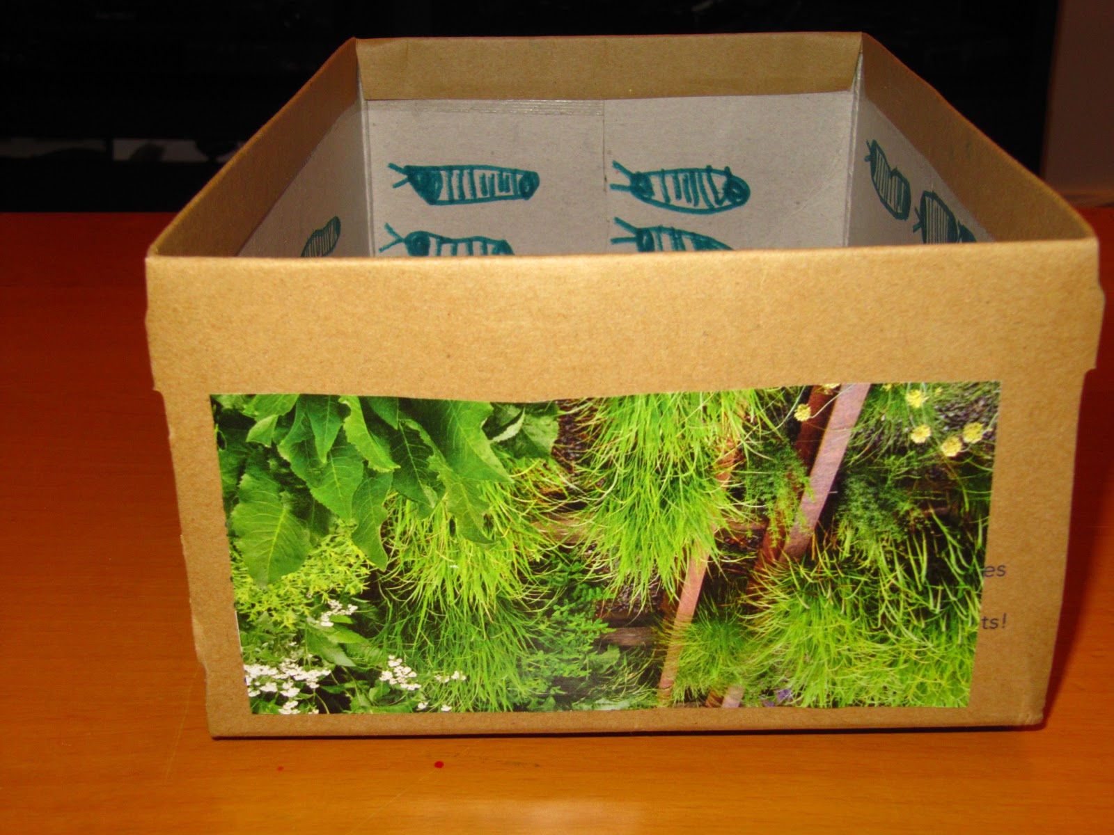 Alechka First Grade Science Project Success Academy Mealworm Dioramas