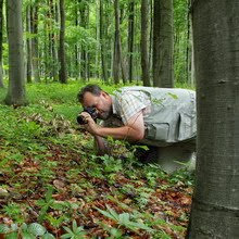 Felelős szerkesztő